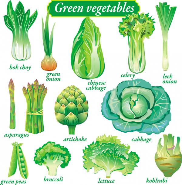 leafy vegetables clipart - photo #3