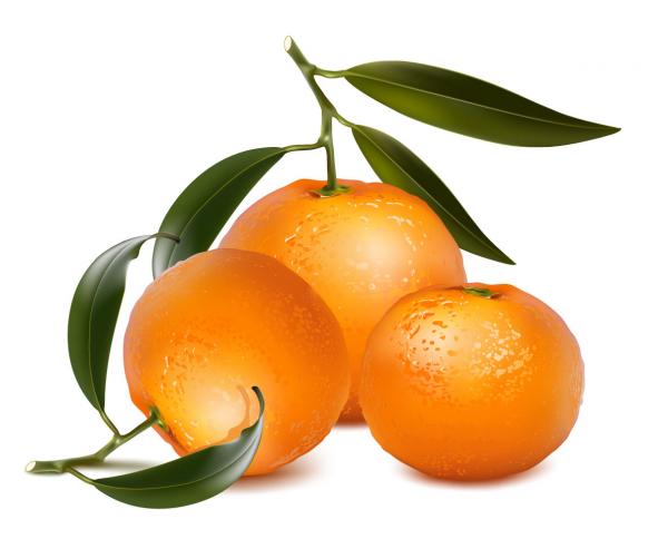 ส้มผลไม้แบบ3D