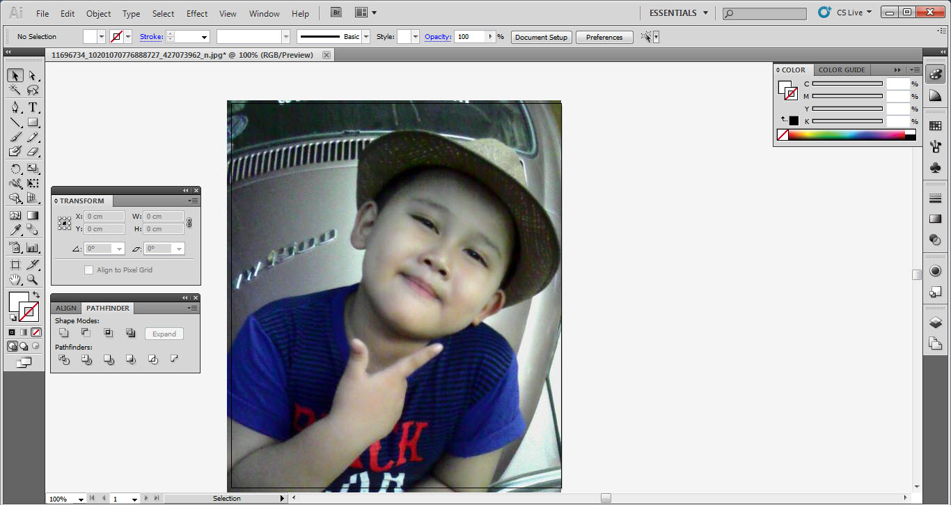 ตัดภาพบางส่วนด้วยโปรแกรม Illustrator 01