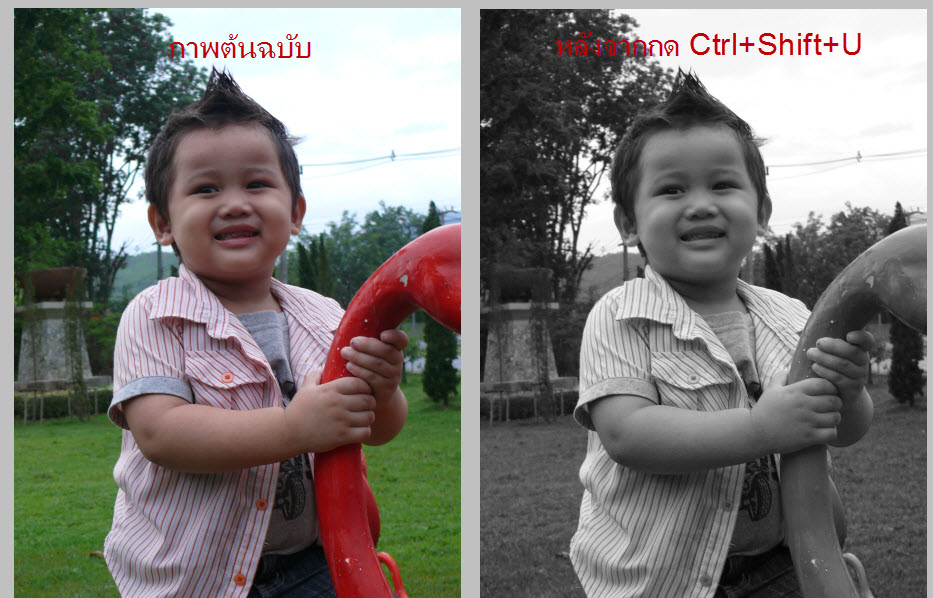 ทำภาพถ่ายเป็นภาพขาวดำ