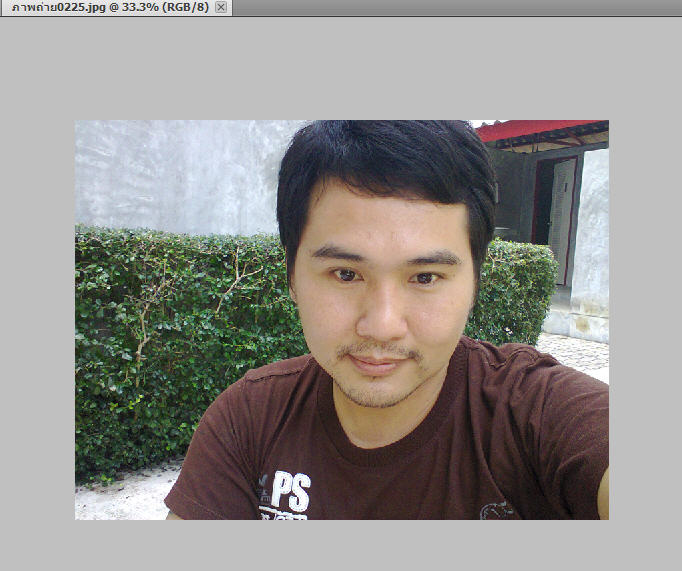 เทคนิคทำภาพให้เป็นภาพวาดดินสอ