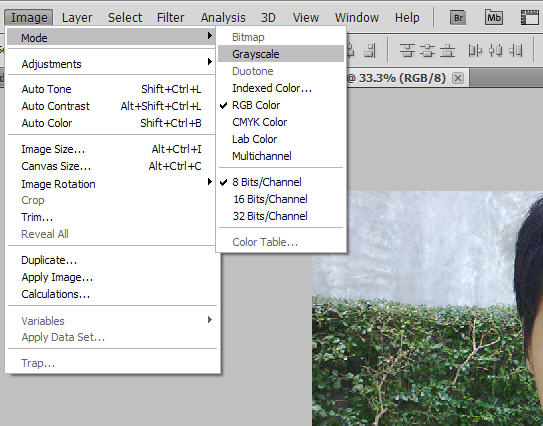 เปลี่ยนเป็นภาพขาวดำ