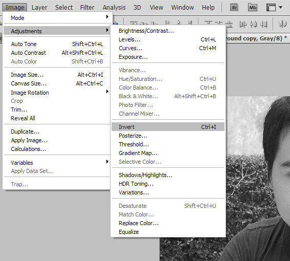 ภาพเนกาทีฟ