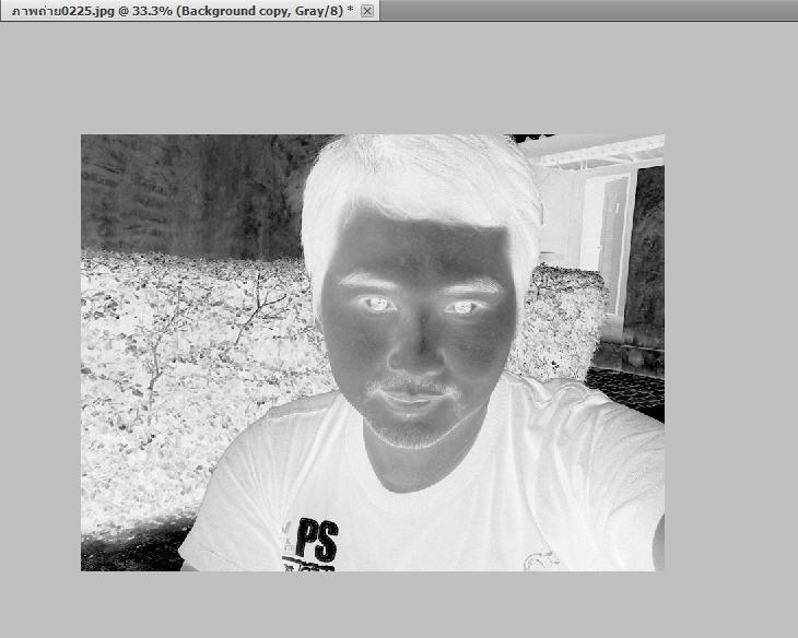 ภาพแบบเนกาทีฟ