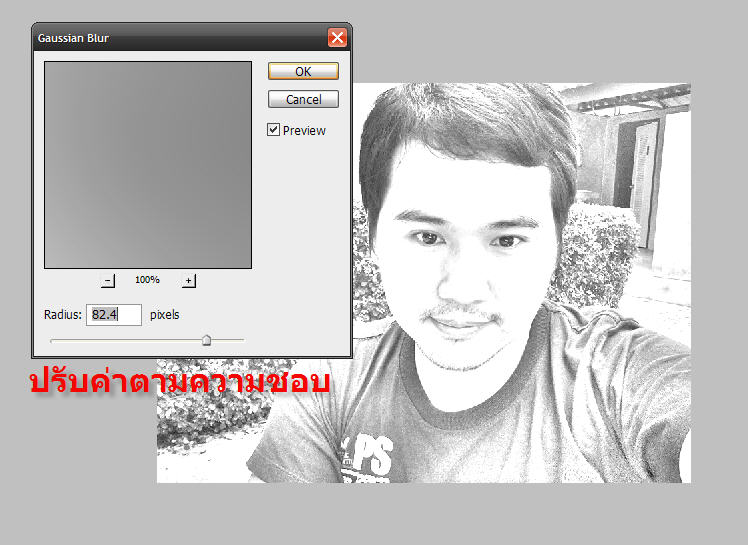 ตั้งค่าเบลอของภาพ