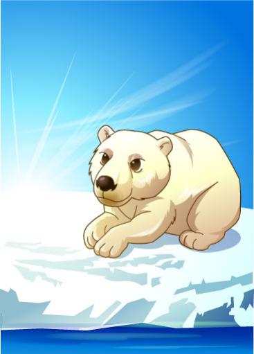 หมีขาว ขั่วโลก