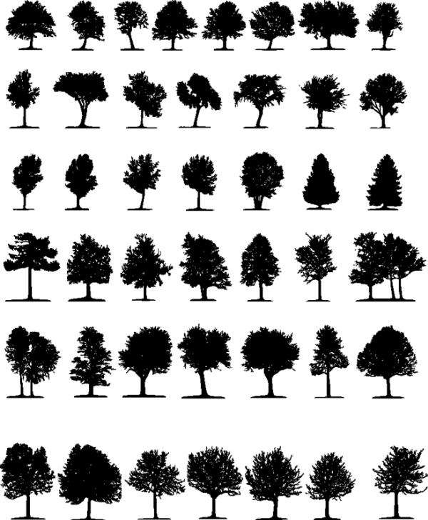 รวมเงาต้นไม้