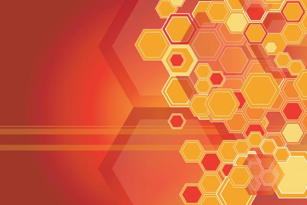 แบ็คกราวรูปรังผึ้ง