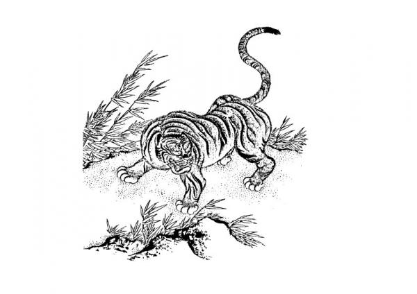 ภาพเขียน เสือ