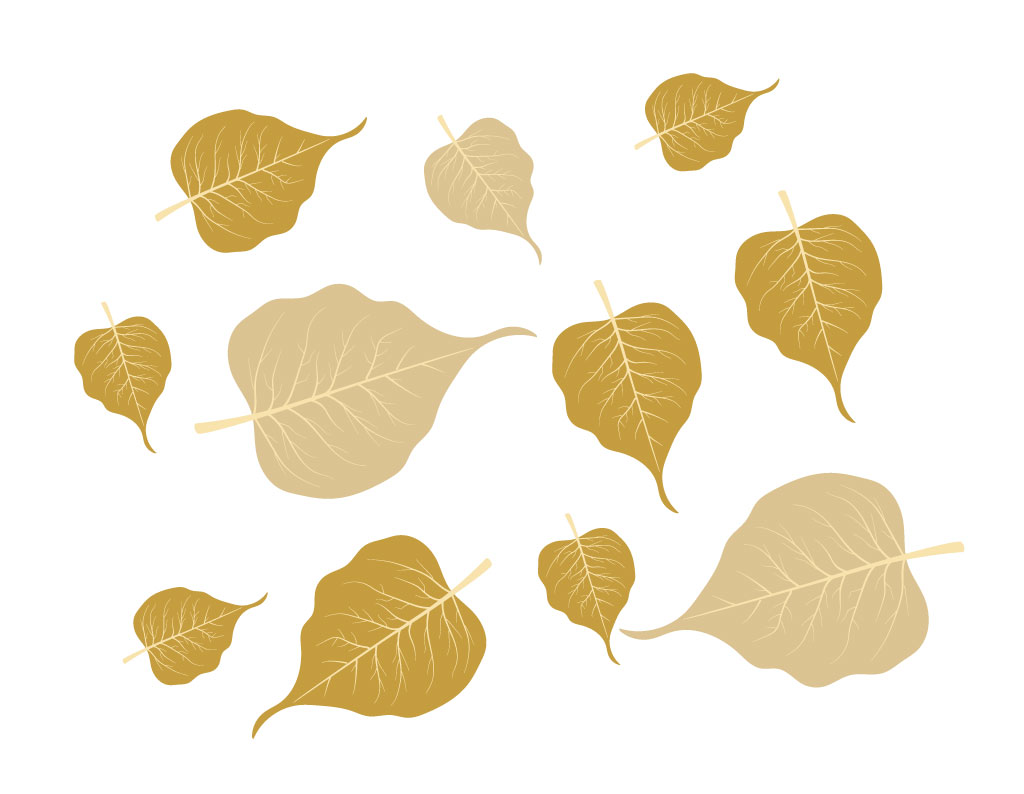 ใบโพธิ์สีน้ำตาล