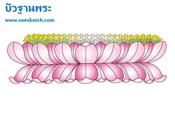 บัวฐานพระ 1