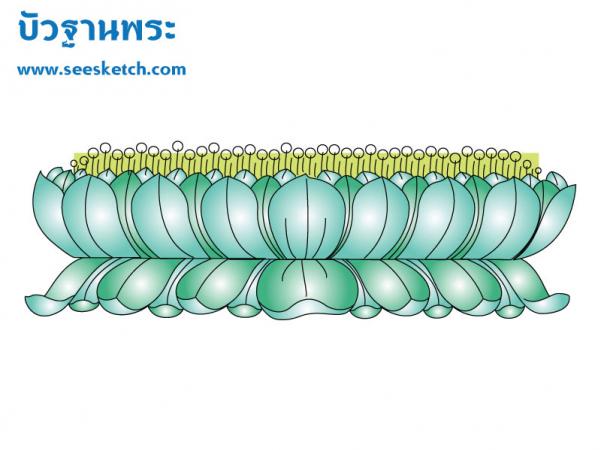 บัวฐานพระ 3