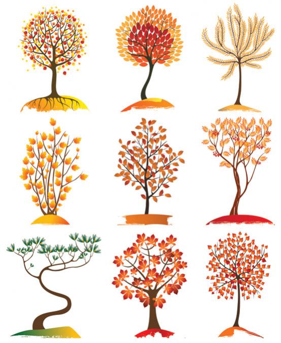 ไอคอน ต้นไม้