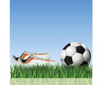 ฟุตบอลบนสนามหญ้า