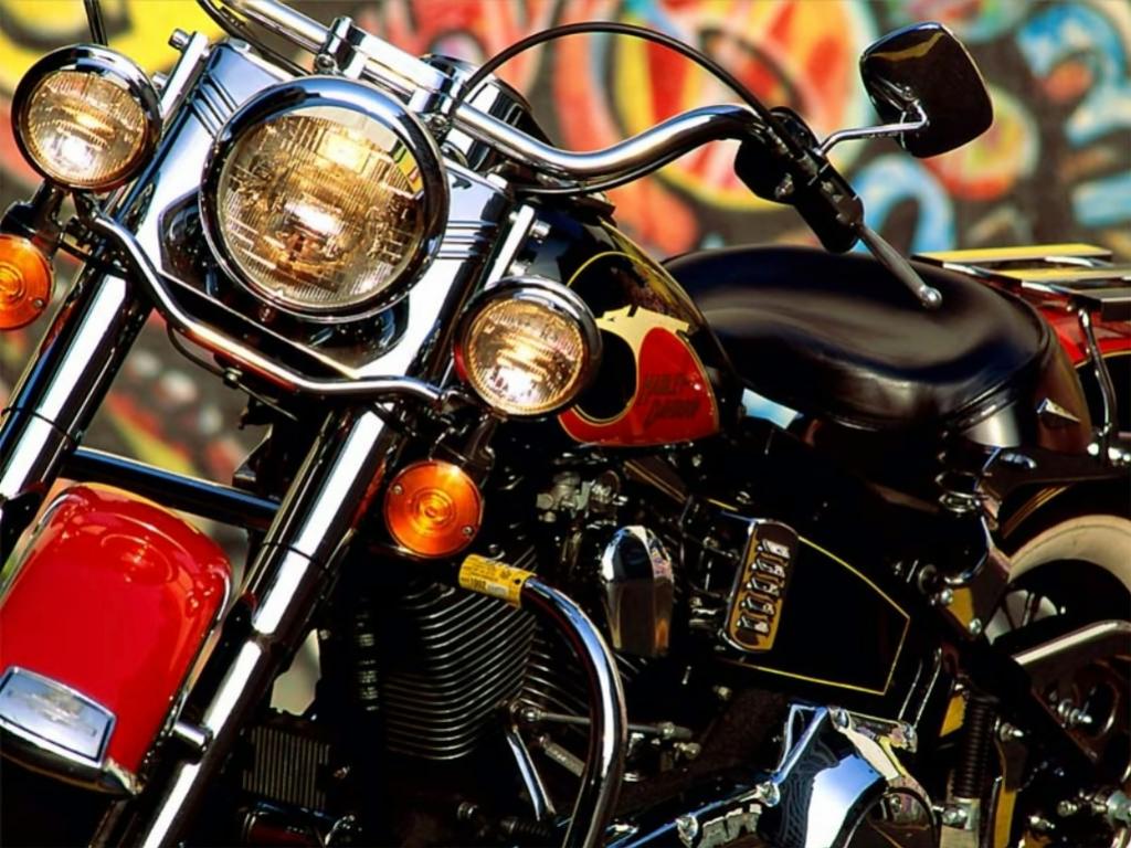 ฮาเล่ย์ ด้านหน้า