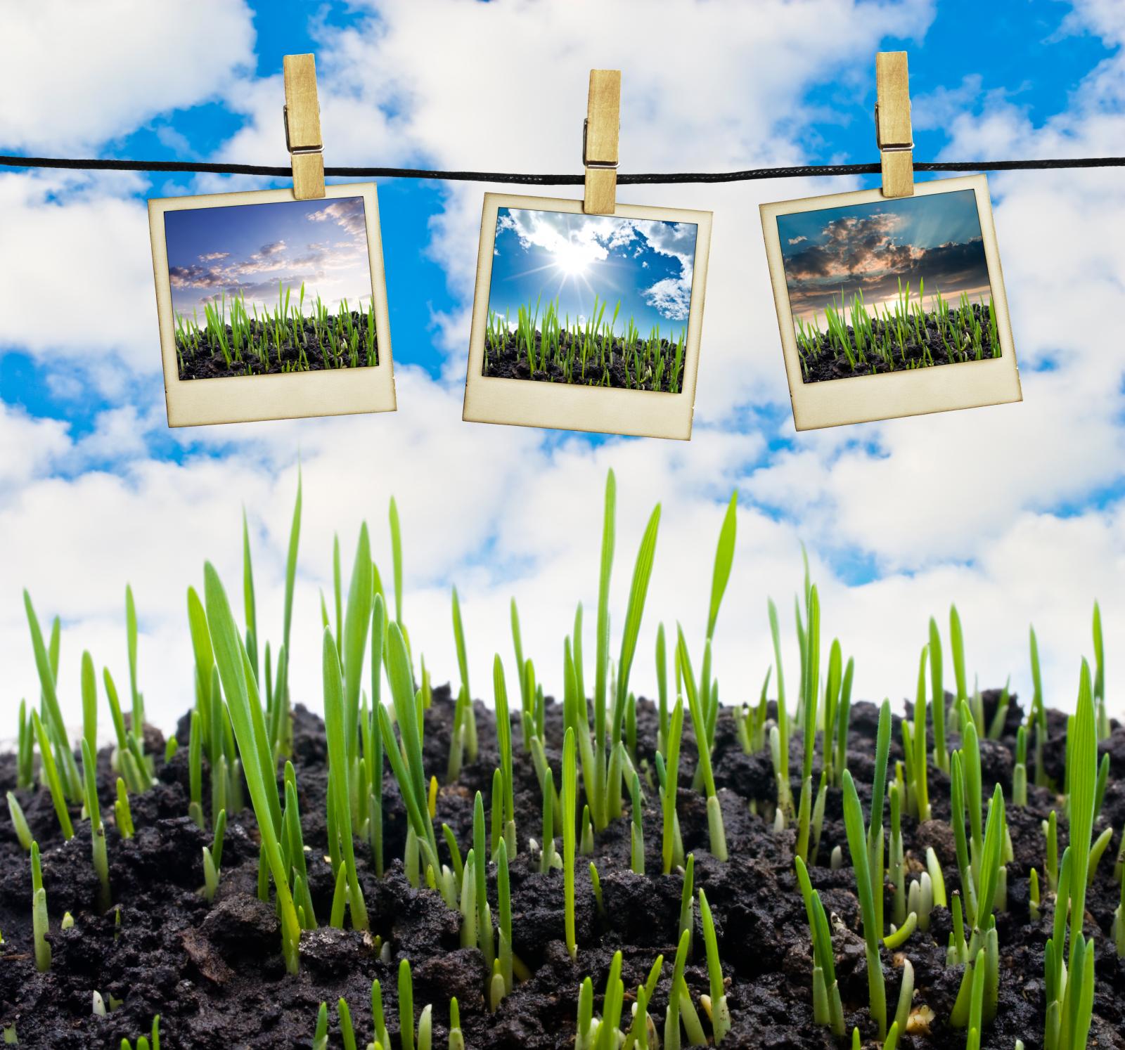 ภาพถ่าย โฟโต้ชอป แบบที่ 4