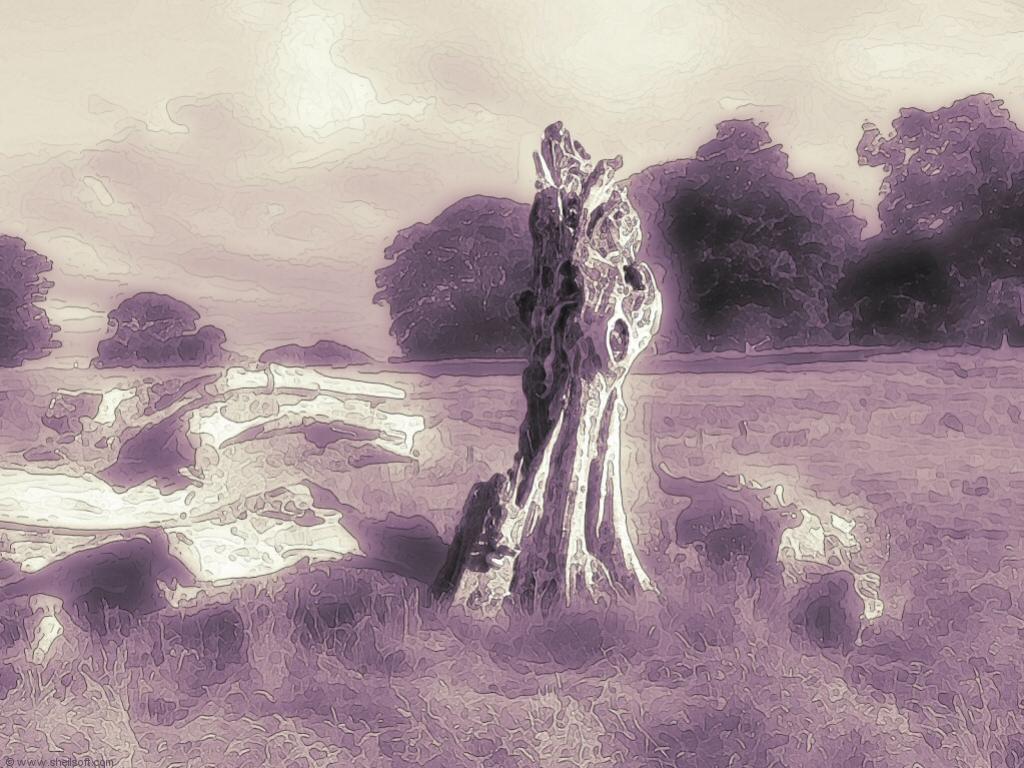 กราฟฟิกภาพวาด