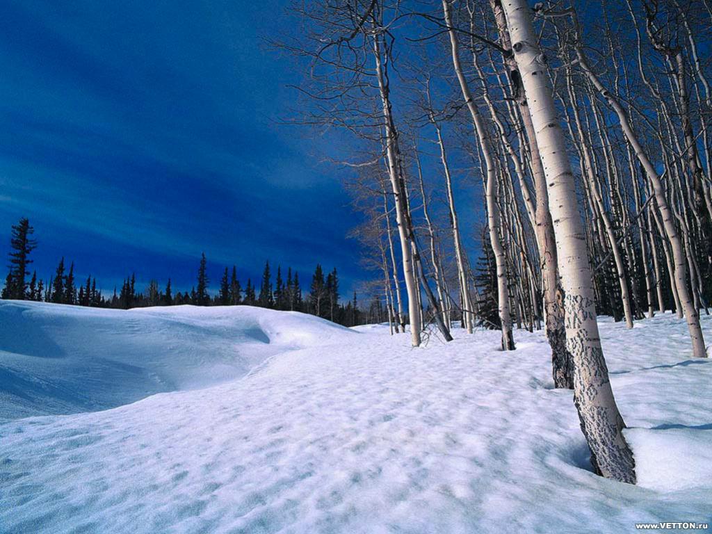 หิมะ ความสงบ