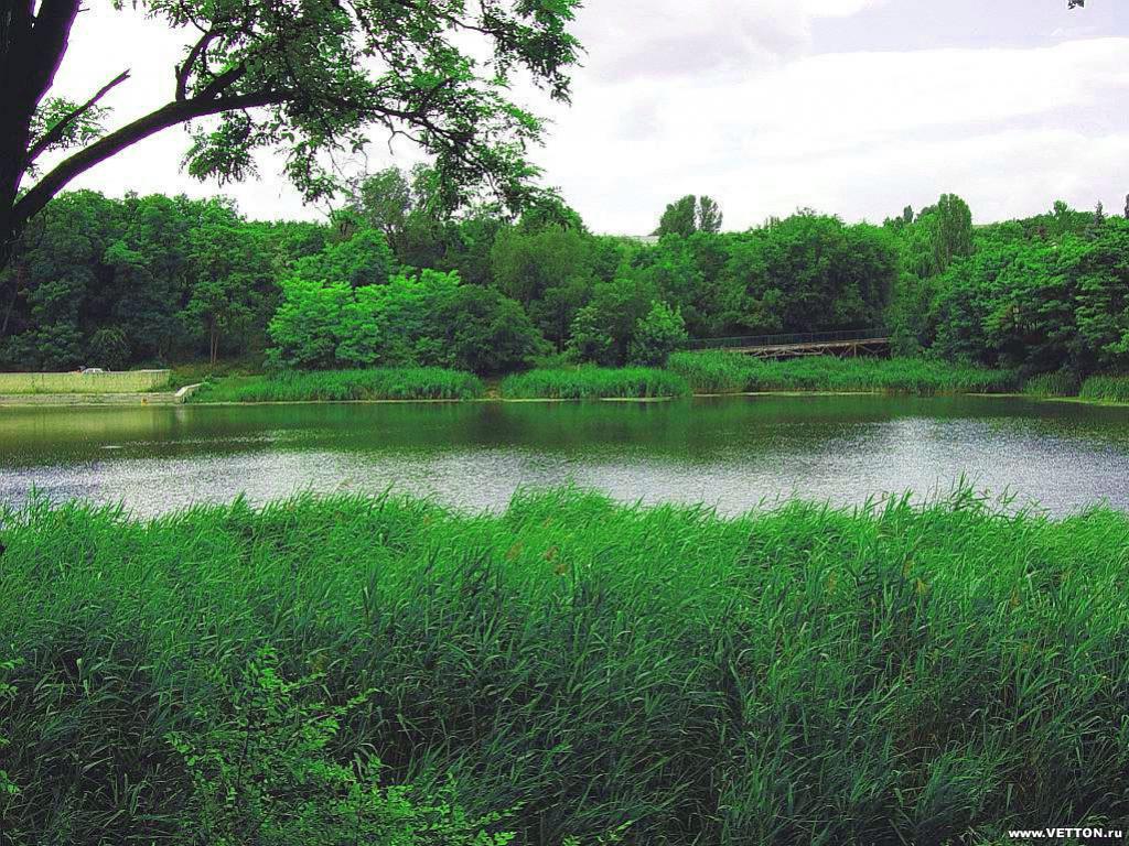 บึงสีเขียว